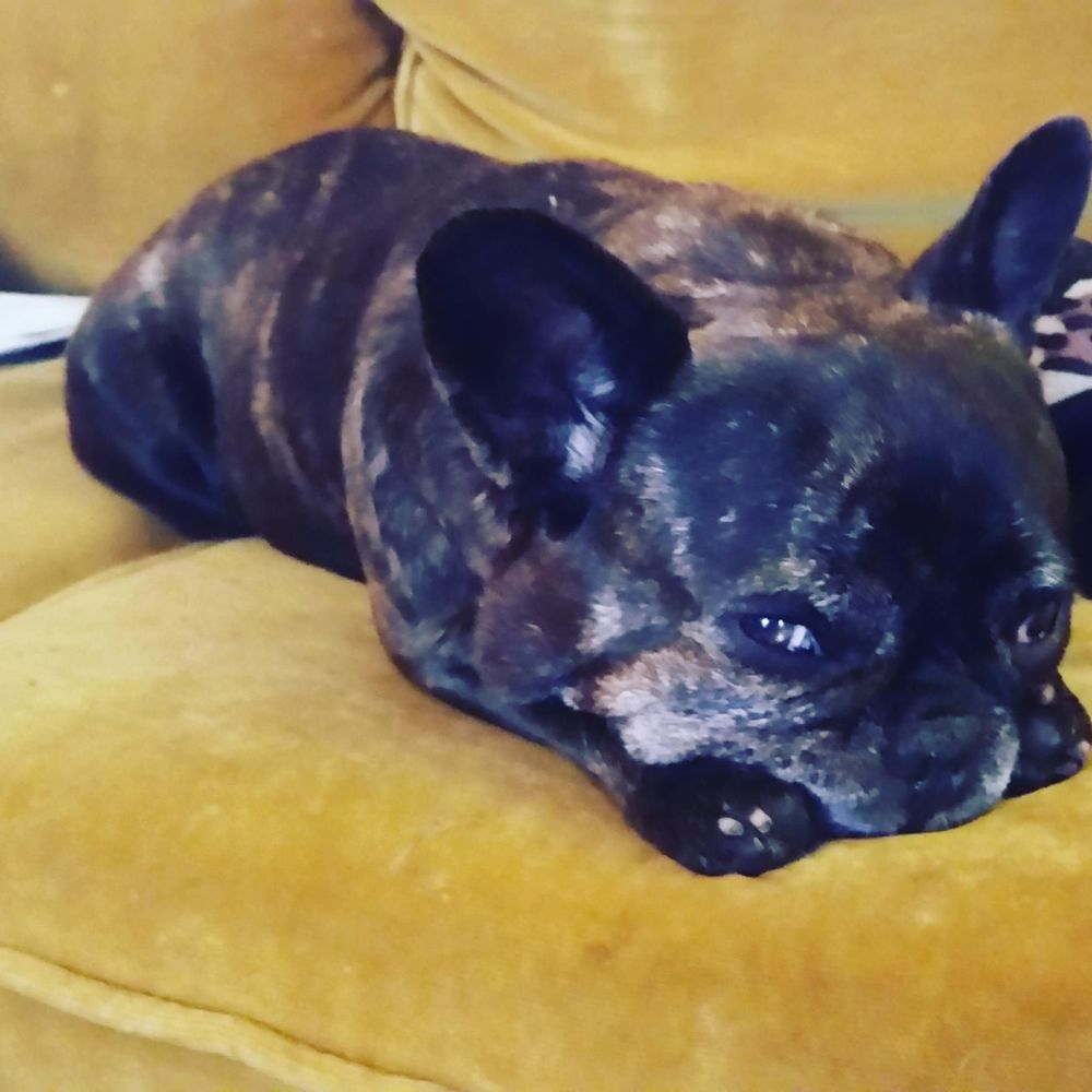 Meet your Posher, Elena